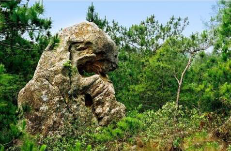 筆猴_美翻了！翔安這香山50畝花海綻放，小伙伴們約起來！