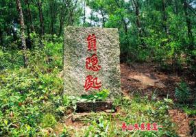 真隱處_美翻了！翔安這香山50畝花海綻放，小伙伴們約起來！