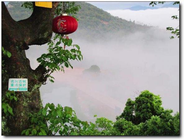 泉港虎巖山 (5)_泉港虎巖山