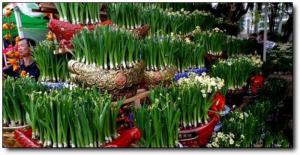 龍?；ㄊ幸粭l街 (3)_漳州花市一條街_龍海花市一條街(福建漳州)_花市一條街